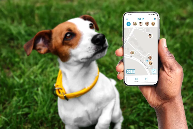 Pet Tracker vs. Pet Finder: What’s the Difference? — illustration 3